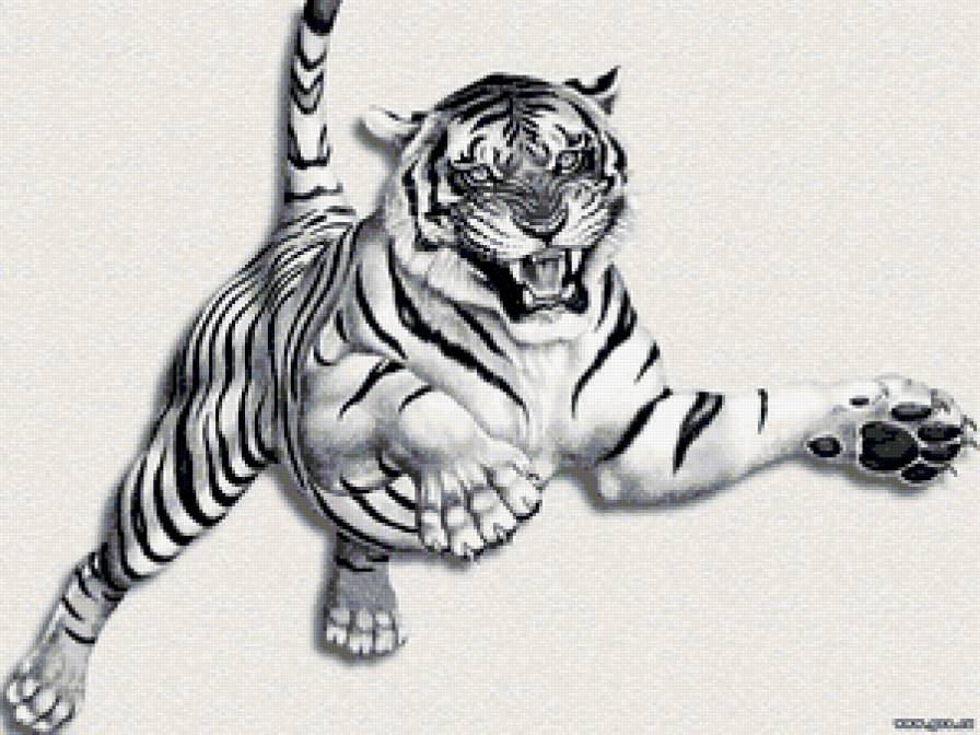 Тигр - тигры, зверь, животные, животное - предпросмотр