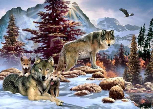 волки - природа, волк, животные, волчата, горы, семья, волчица, волченок - оригинал