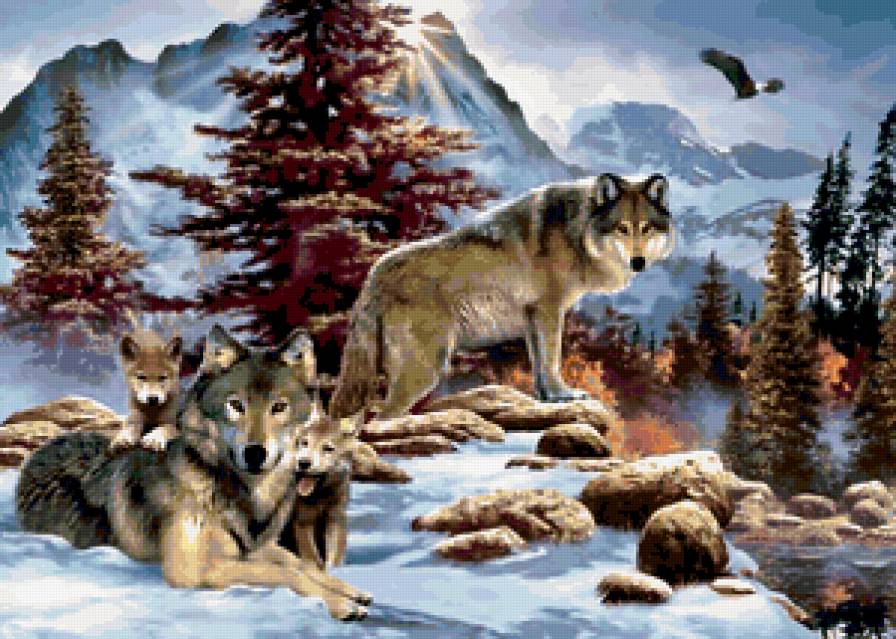 волки - животные, волк, волчица, семья, волченок, горы, волчата, природа - предпросмотр