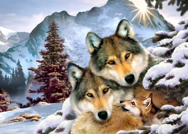 волки - волчица, природа, горы, семья, животные, волченок, волк - оригинал