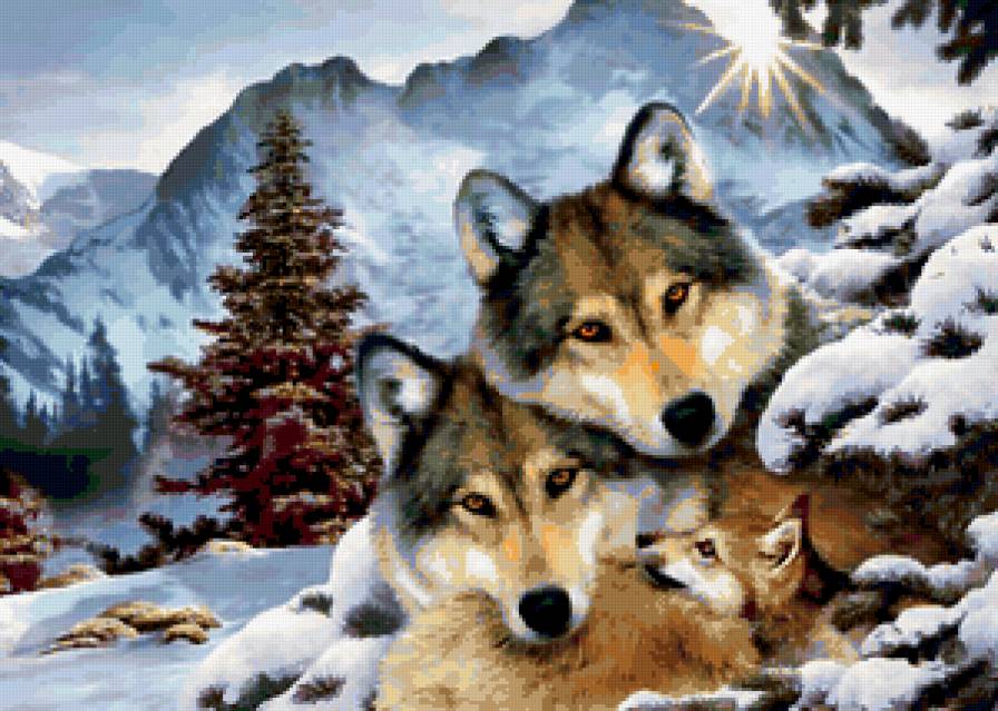 волки - волченок, семья, животные, горы, природа, волк, волчица - предпросмотр