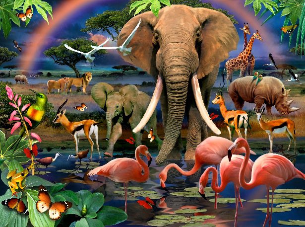 животные - слон, африка, фламинго, радуга, носорог, природа, антилопа, птицы - оригинал