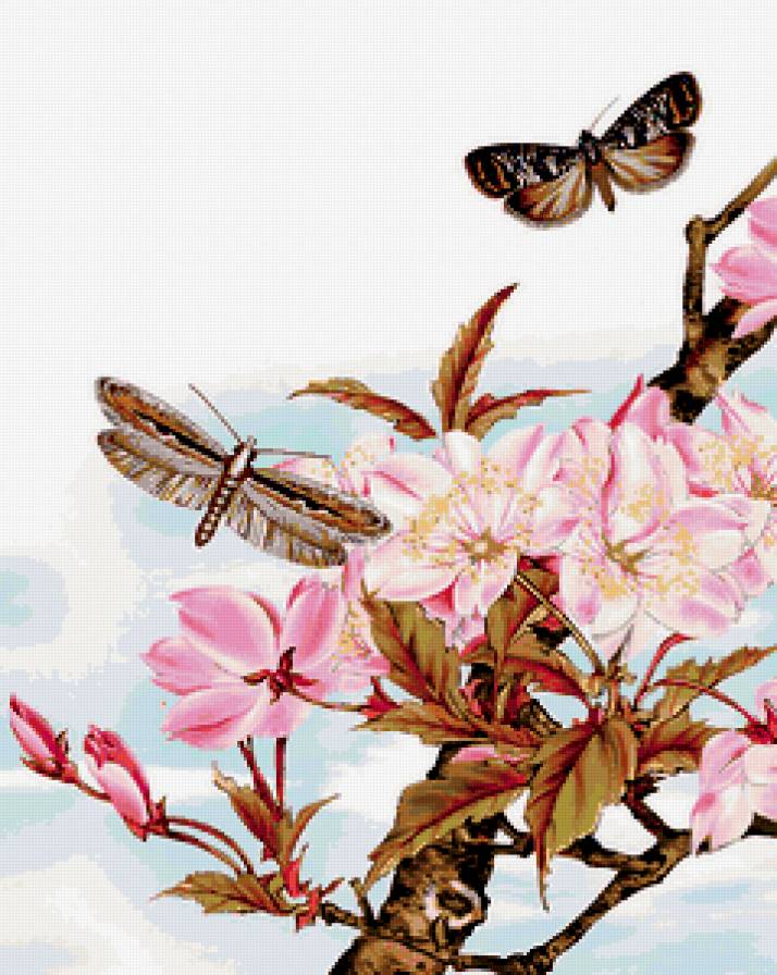 цветы - бабочки, весна, растения, природа, насекомые - предпросмотр
