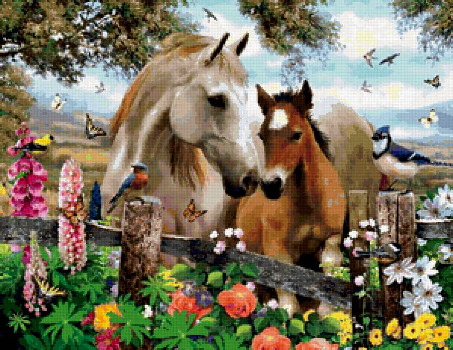 лошади - огород, лошадь, животные, цветы, конь - предпросмотр