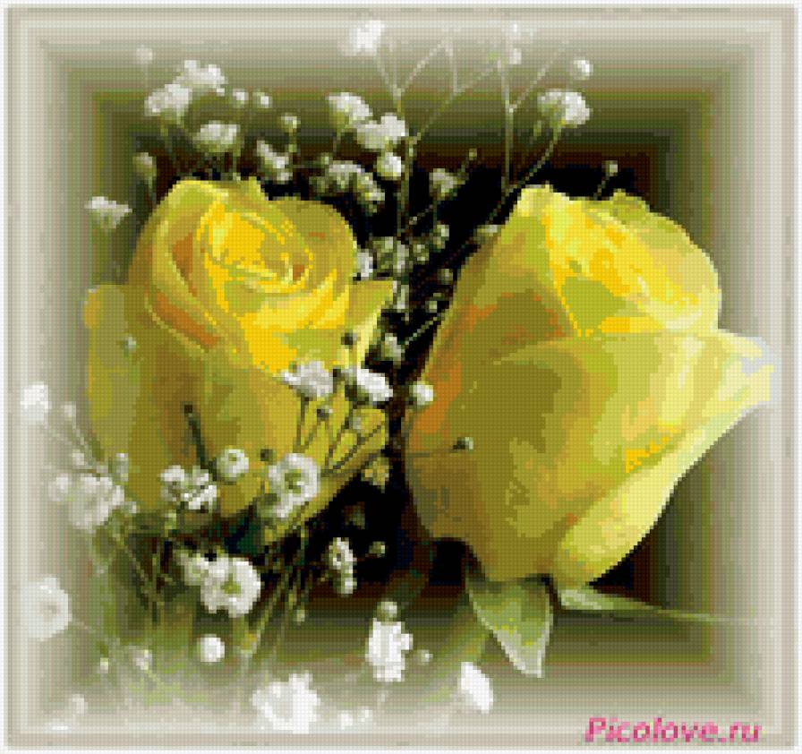 Желтые розы - цветы, розы - предпросмотр