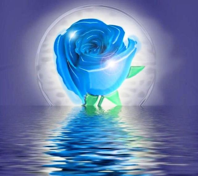 Голубая роза на фоне океана - цветы, розы - оригинал