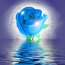Голубая роза на фоне океана