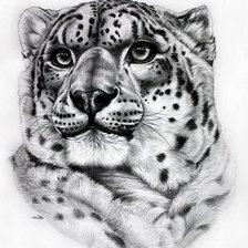 Оригинал схемы вышивки «леопард» (№261722)