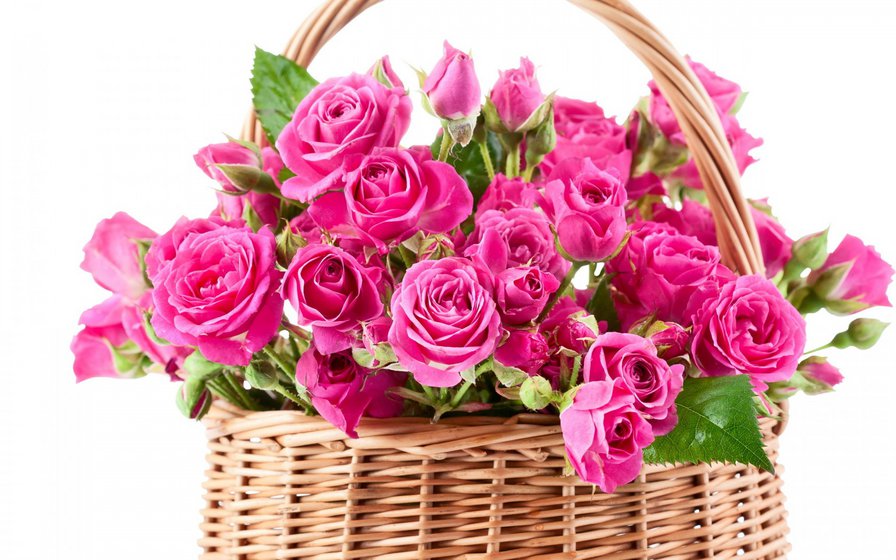 Корзина с розами - душистые розы, флора, цветы, корзина, розочки, розы - оригинал