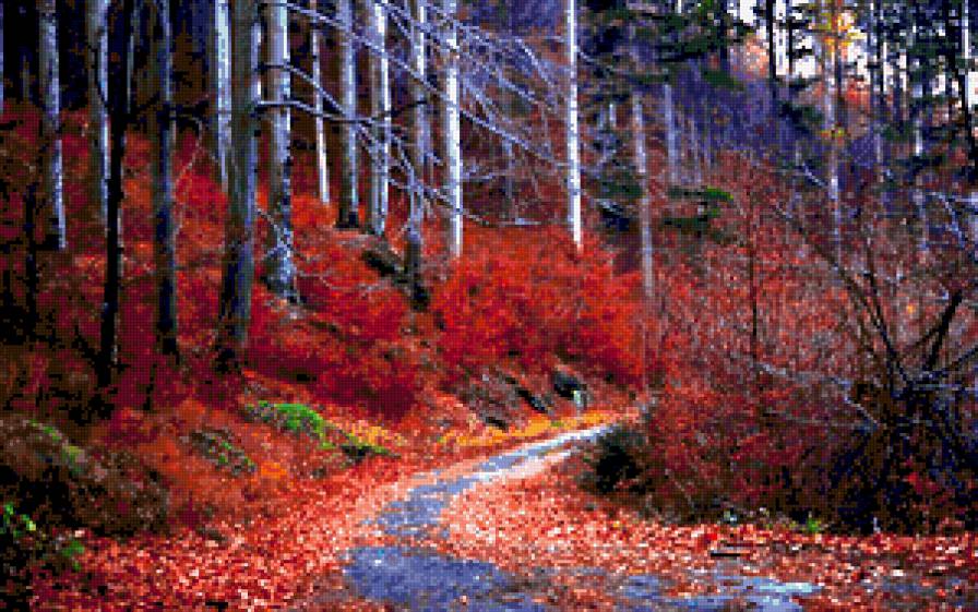 Красная Дорога - деревя, пейзаж, листья - предпросмотр