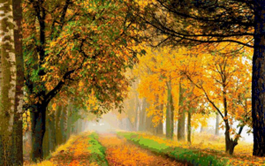 И настала осень - природа, листья, пейзаж, осень, деревя - предпросмотр