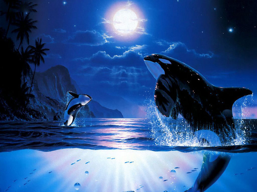 Дельфины Рай - ночь, луна, тучи, дельфины, море - оригинал