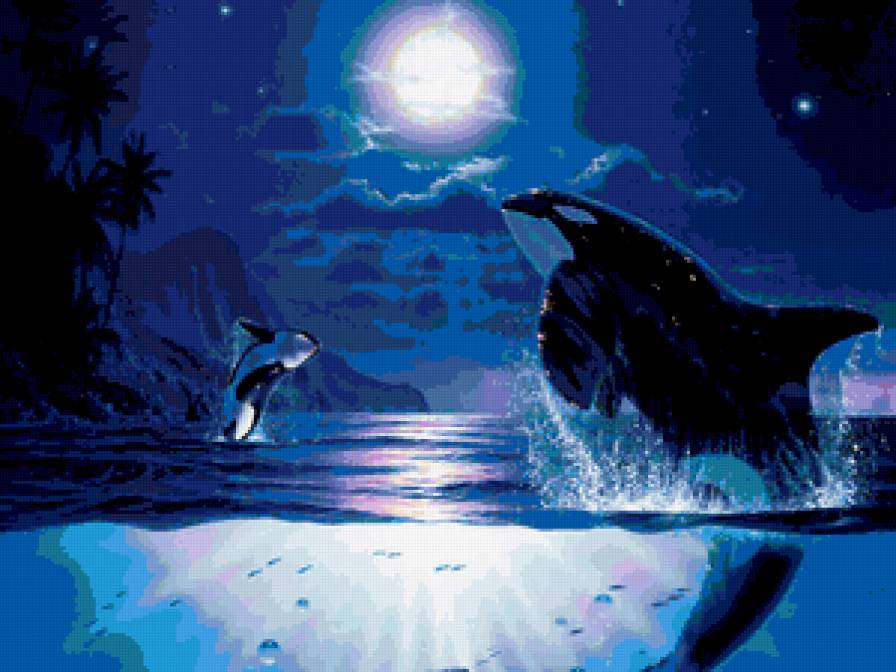 Дельфины Рай - луна, ночь, тучи, море, дельфины - предпросмотр