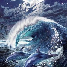 Дельфины в шторм