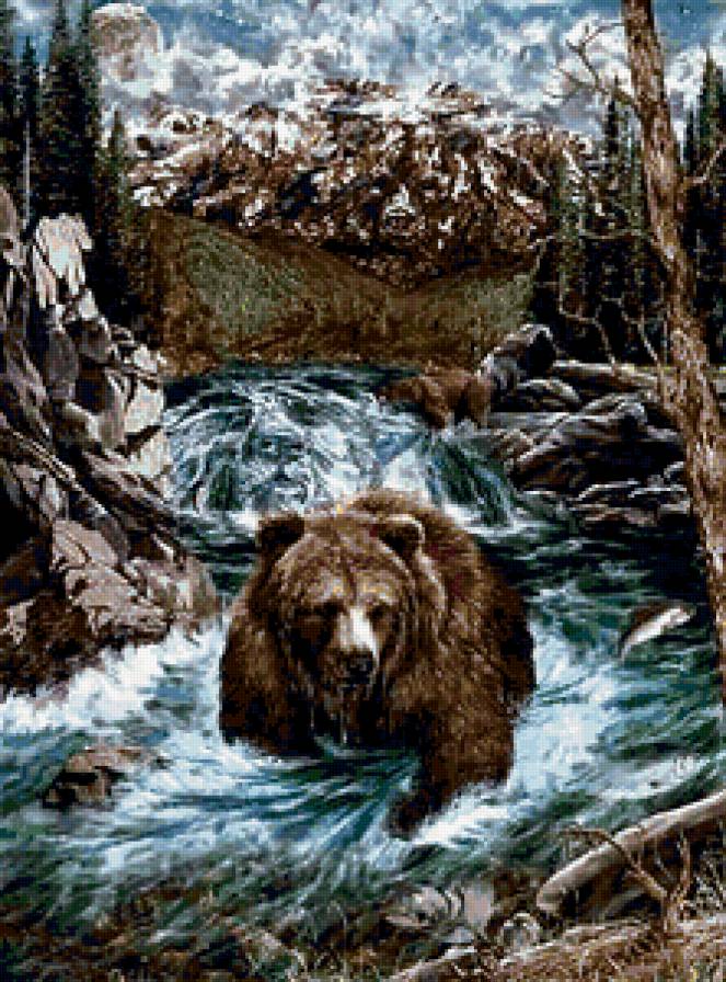 №262125 - медведь - предпросмотр