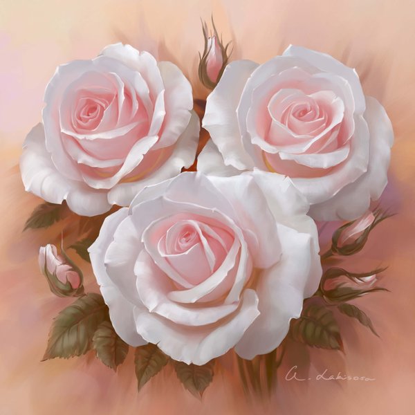 №262320 - цветы, розы - оригинал