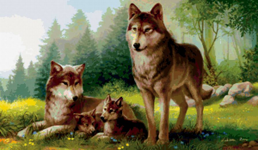 №262323 - волки, семья - предпросмотр