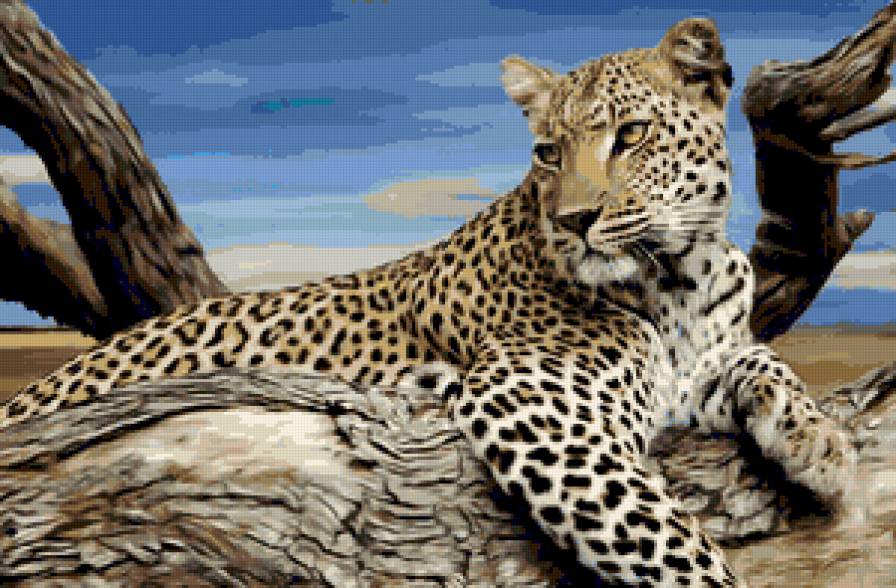 №263055 - картина, животные, леопард - предпросмотр