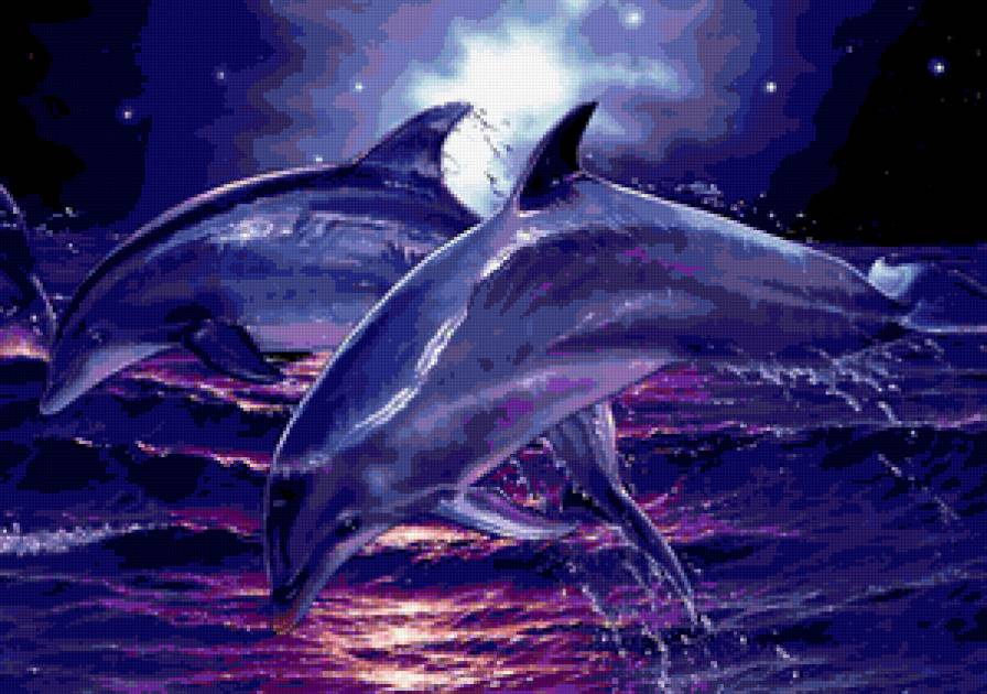 Дельфины на закате - картина, море, закат, волны, дельфины, пейзаж, небо - предпросмотр