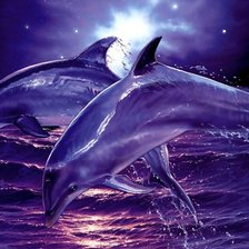 Оригинал схемы вышивки «Дельфины на закате» (№263094)