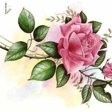 Оригинал схемы вышивки «роза» (№263112)