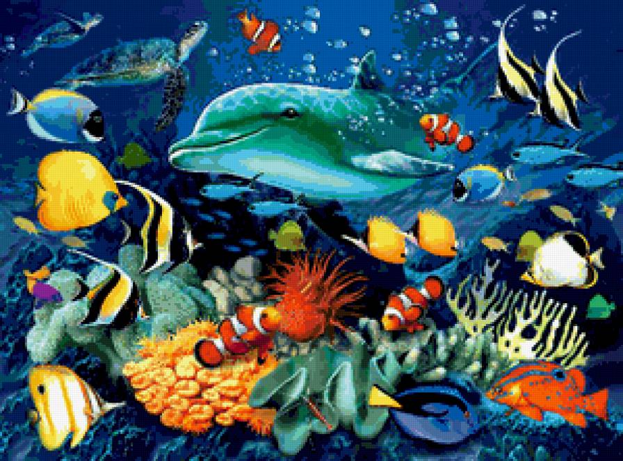 Красота глубин - коралы, че, море, дельфины, подводный мир, красота глубин, пейзаж, рыбы - предпросмотр