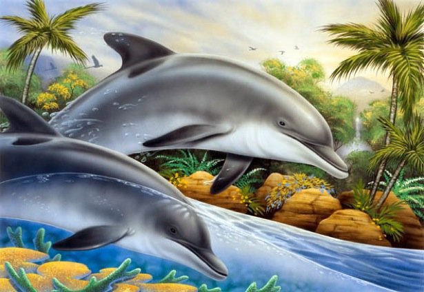 Кто быстрее - красота, пальмы, дельфины, волны, море - оригинал