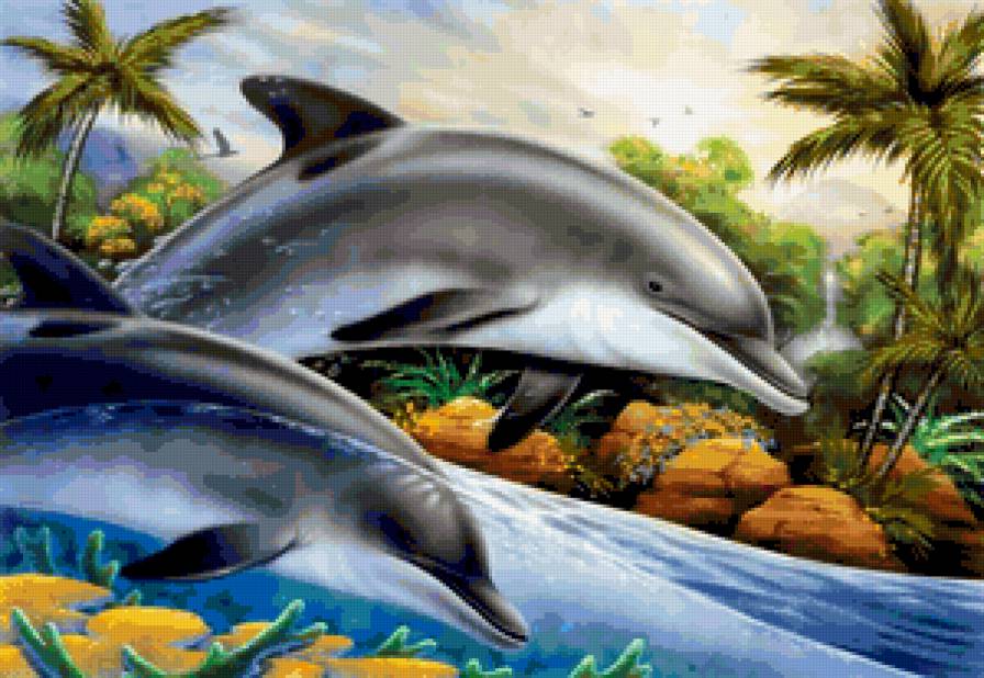Кто быстрее - волны, красота, море, пальмы, дельфины - предпросмотр