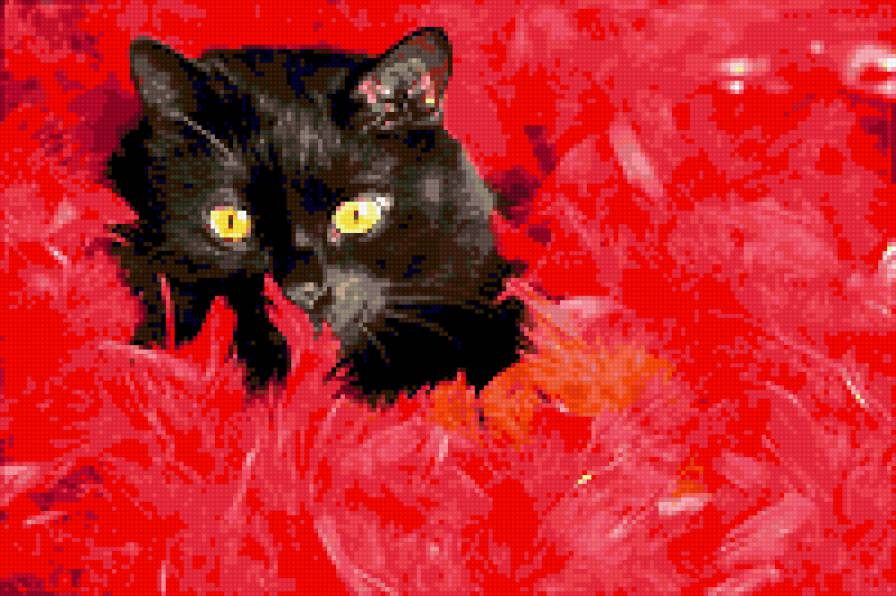Черный кот - кошки - предпросмотр