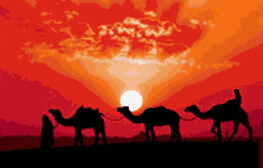 верблюды - верблюды, пустыня - предпросмотр