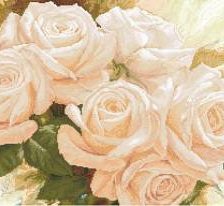 Оригинал схемы вышивки «Белые розы» (№263508)