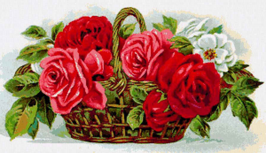 Корзина с розами - розы, роза, корзина, ретро, розочки, винтаж, душистые розы - предпросмотр