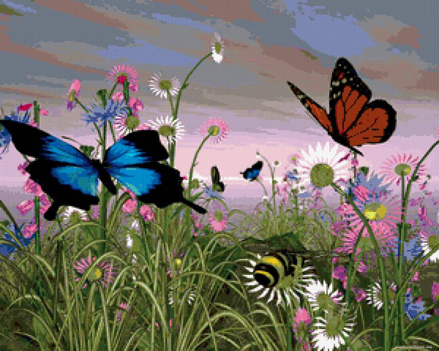 Бабочки - бабочки, цветы, поле - предпросмотр