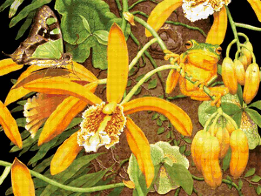 Орхидея - цветы, бабочки - предпросмотр