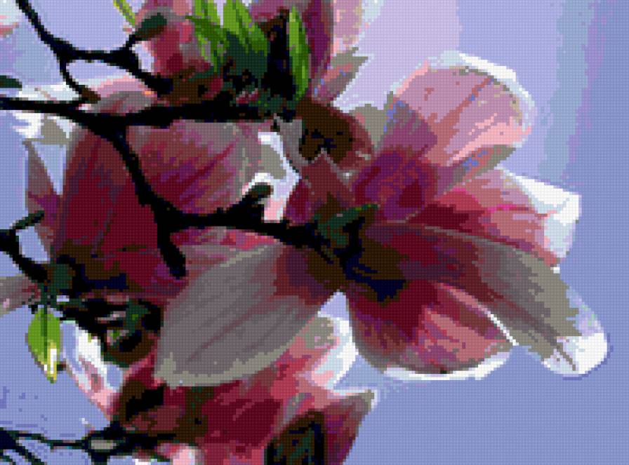 весеннее небо - цветы фрезия - предпросмотр