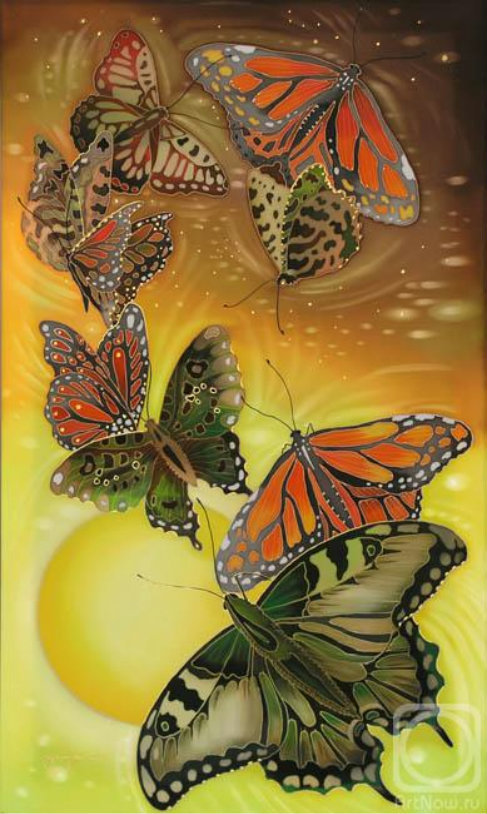 бабочки - бабочки, насекомые - оригинал