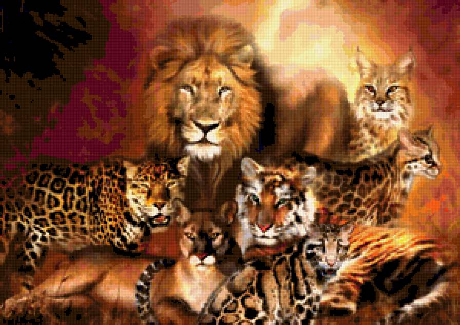 Семейство диких кошек - портрет, вместе, тигры, дикие, львы, кошки - предпросмотр