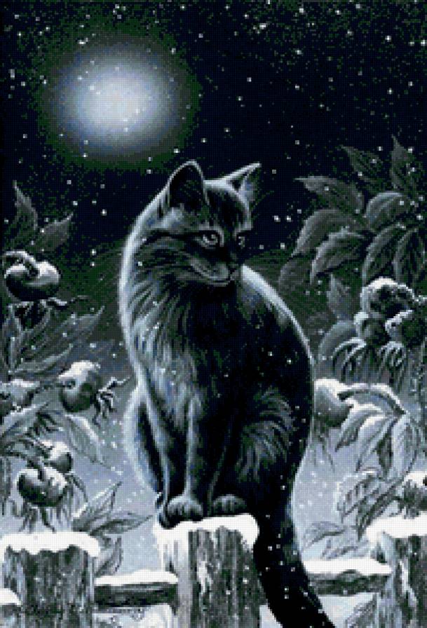 ночь - кот, кошка, забор, шиповник, луна, ночь, котенок - предпросмотр