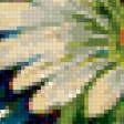 Предпросмотр схемы вышивки «полевые цветы» (№265016)