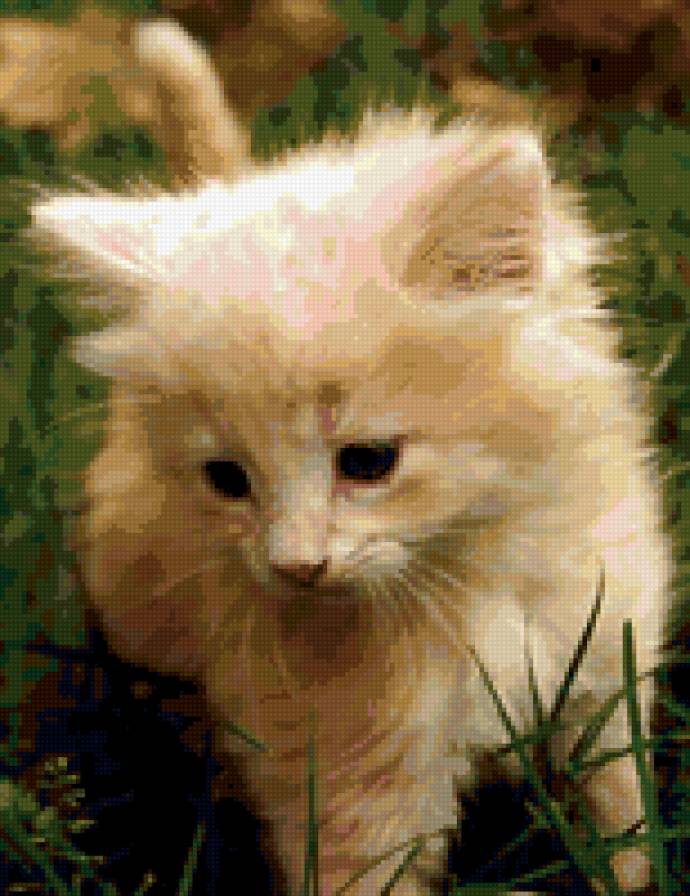 грустный котёнок - котенок - предпросмотр