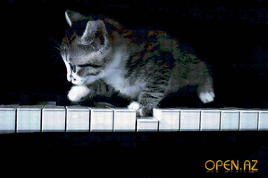котенок и пианино - рояль, животные, клавиши, пианино, котята, чернобелое - предпросмотр