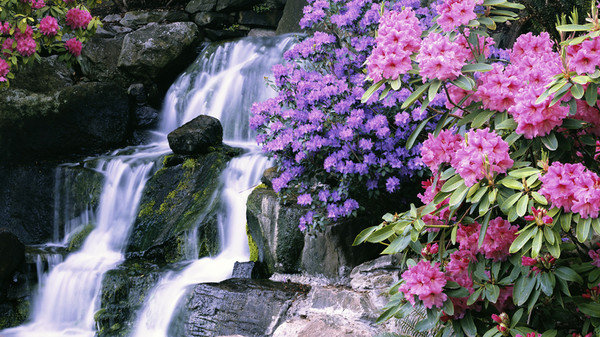 Водопад - пейзаж, водопад, природа, картина, цветы - оригинал