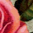 Предпросмотр схемы вышивки «птичка на розе» (№265658)