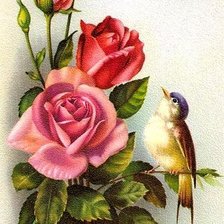 Оригинал схемы вышивки «птичка на розе» (№265658)