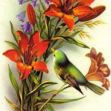 Оригинал схемы вышивки «птица на лилии» (№265659)