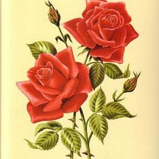 Оригинал схемы вышивки «роза» (№265692)