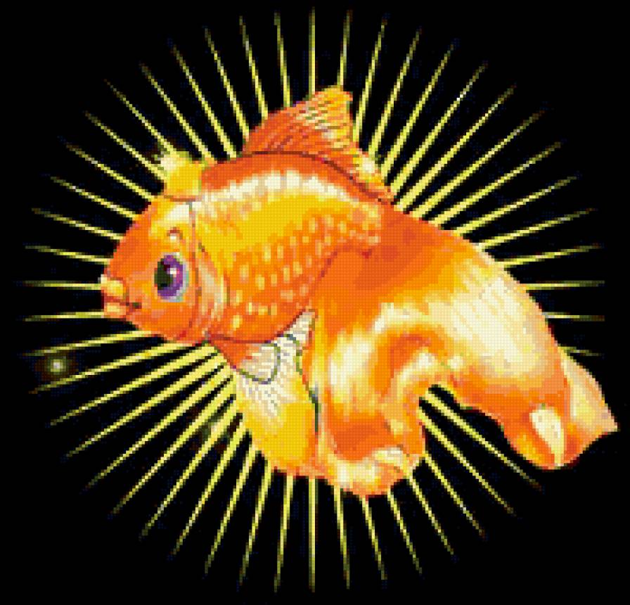 Золотая рыбка - рыбка, золотая рыбка, сказка - предпросмотр