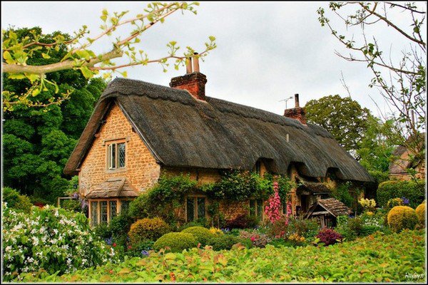 Сказочный домик - дом, природа, цветы, улица - оригинал
