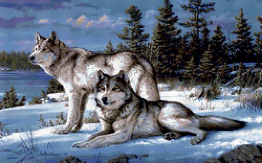 волки - животные - предпросмотр