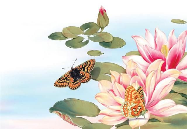 644 - бабочка, цветы - оригинал